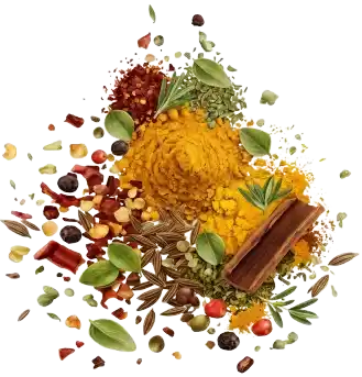 Spices Icon